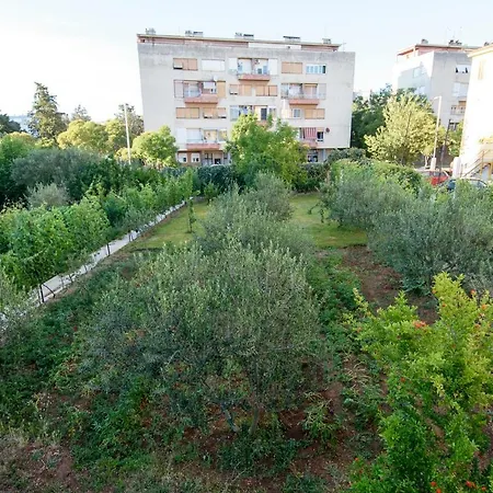 Relja * Ζαντάρ