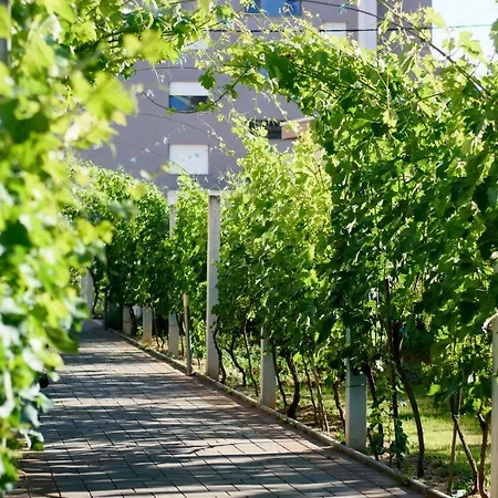 Relja * Ζαντάρ